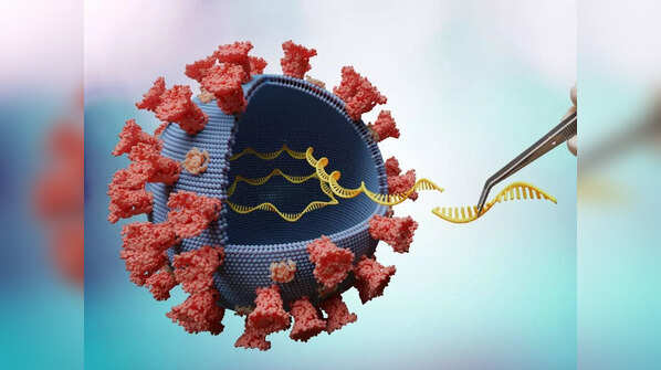 The role of genome sequencing and the detection of COVID variants