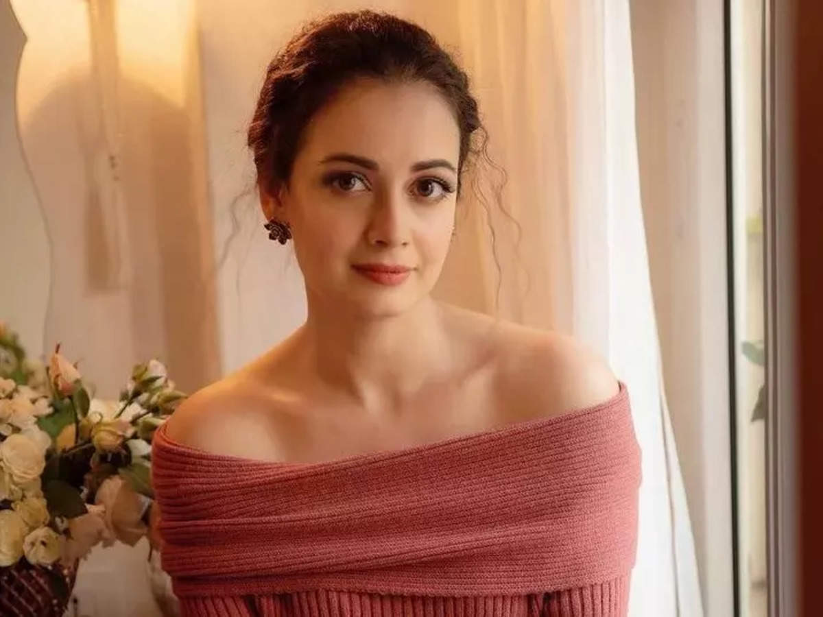 Dia Mirza opens up on her near-death experience, says, 'it was a tough time' - Times of India