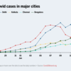 Daily Covid cases in major cities