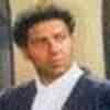 Article image for: <i class="tbold">damini</i>