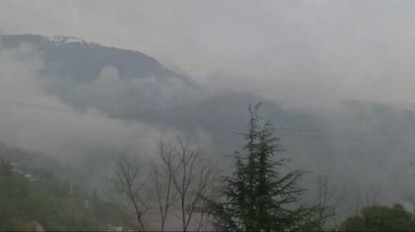 In pics: Dense fog shrouds Dharamshala & surrounding areas