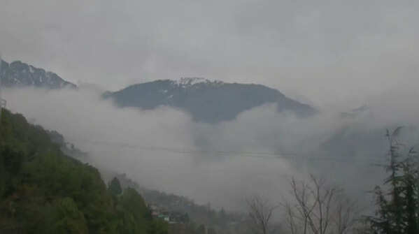 In pics: Dense fog shrouds Dharamshala & surrounding areas