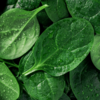 Spinach
