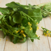 Mustard leaves