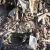 Article image for: See the latest photos of <i class="tbold">air strikes</i>