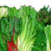 Article image for: <i class="tbold">leafy greens</i>