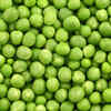Protein from Peas: Busting some common myths