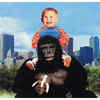 Possibility 4: The iconic Gorilla scene