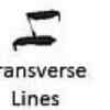 Transverse Markings