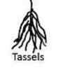Tassels