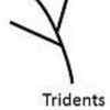 Trident
