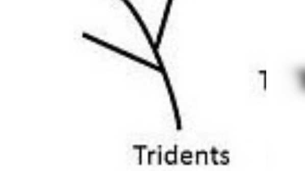 Trident
