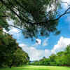 Beautiful Green Park