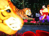 40 pictures from Lunar New Year celebrations