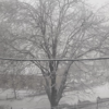 Shimla snowfall