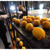 ​What is a lemon battery?