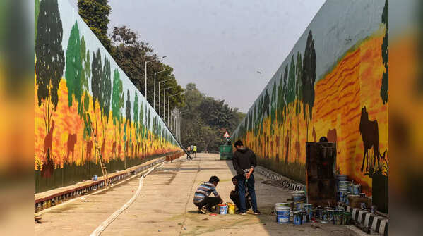 Photos: World's longest mural in Delhi's longest tunnel
