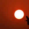Beautiful sunset