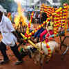 Sheep cart