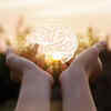 Improves brain health, memory