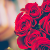 Give a rose