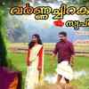 Article image for: Check Out Latest Malayalam Song Official Music Video - 'Varnachirakulla Swapnangal' Sung By <i class="tbold">vishnu prasad</i> And Sneha