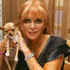 Conchita