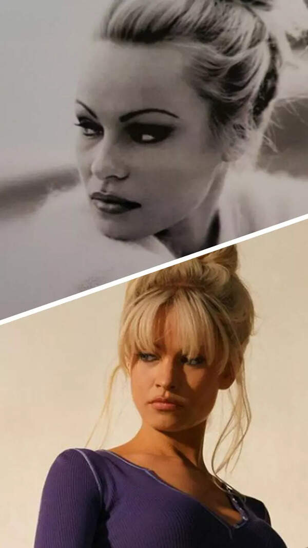 pamela anderson Pictures