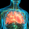 ​Heart disease is mostly under diagnosed