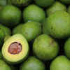 Avocados