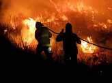 Argentina wildfire engulfs 500,000 hectares; see pics
