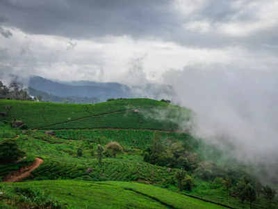 Kerala in March: an ode to natural beauty!