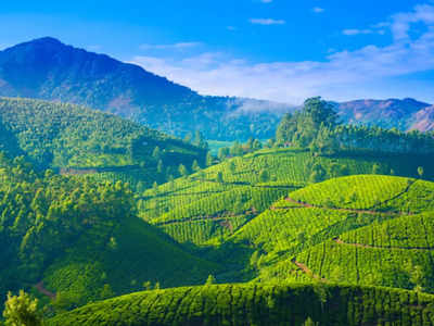 Kerala in March: an ode to natural beauty!