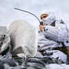 Ukraine crisis