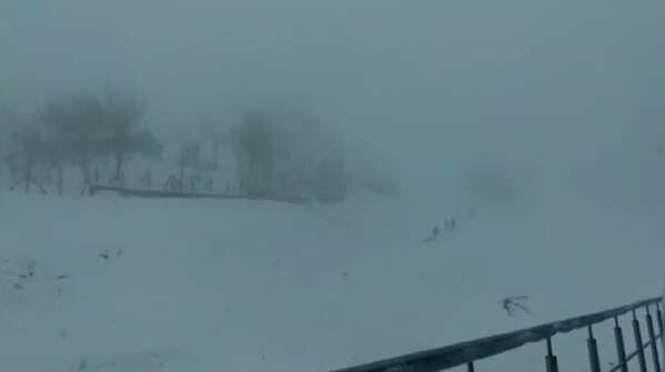 In pics: Uttarakhand's Chamoli wrapped in thick blanket of snow