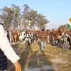 Priyanka Gandhi takes surprise bike ride in UP