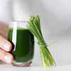​Wheatgrass