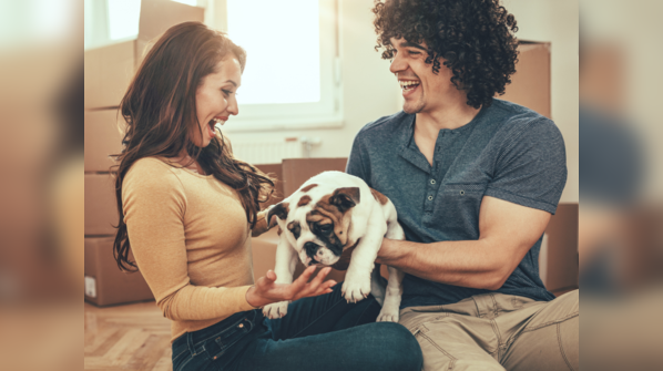 Pets relieve stress