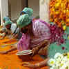 Article image for: Widows of <i class="tbold">vrindavan</i> making gulal with flowers, offered to Banke Bihari temple