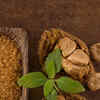 Article image for: Monk fruit extract