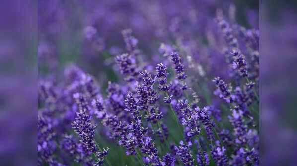 Use flowers