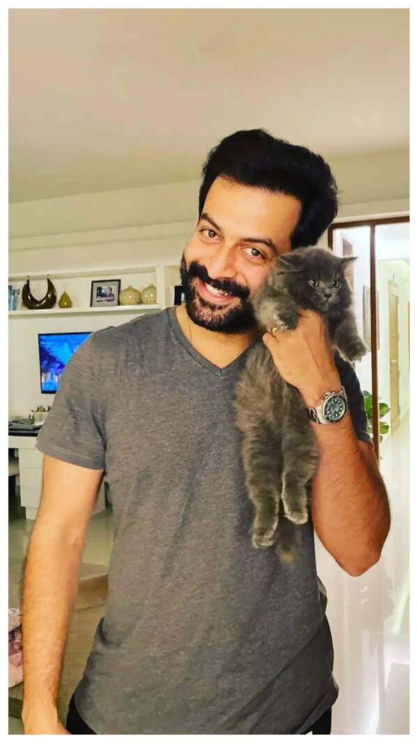Prithviraj