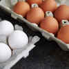Brown Vs White eggs: Difference and which one is better for weight loss