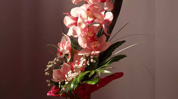 Orchids