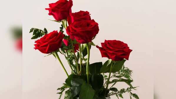 Miniature roses