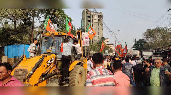 BJP workers celebrate party's win in assembly polls (1)