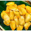 5 reasons to have kathal in this season and 5 quick ways to make it