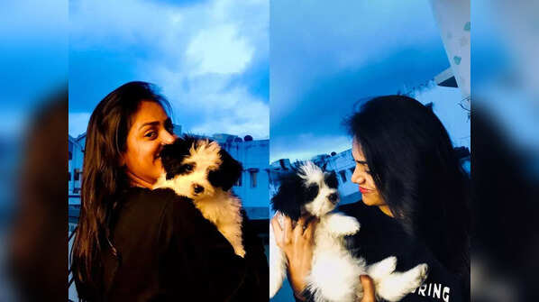 ‘A girl and her dog’