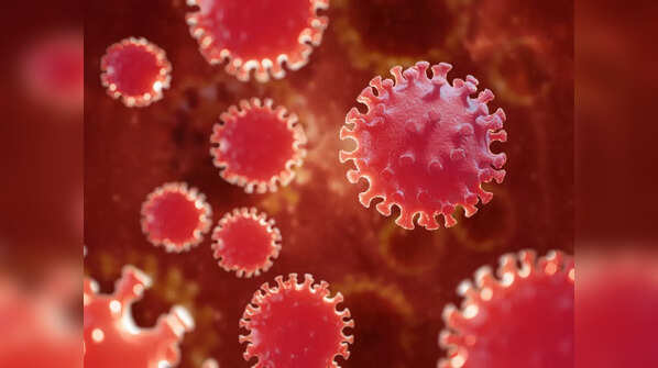 What is the effect of a recombinant virus?