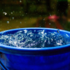 ​Use buckets instead of shower